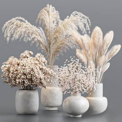 侘寂风干花芦苇花瓶